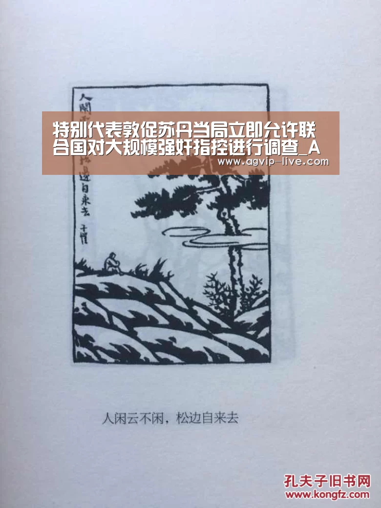 特别代表敦促苏丹当局立即允许联合国对大规模强奸指控进行调查_AGAPP(图2) AG娱乐