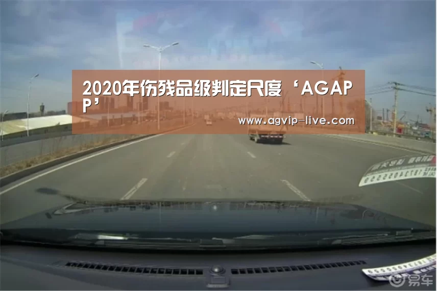2020年伤残品级判定尺度‘AGAPP’(图3) AG娱乐