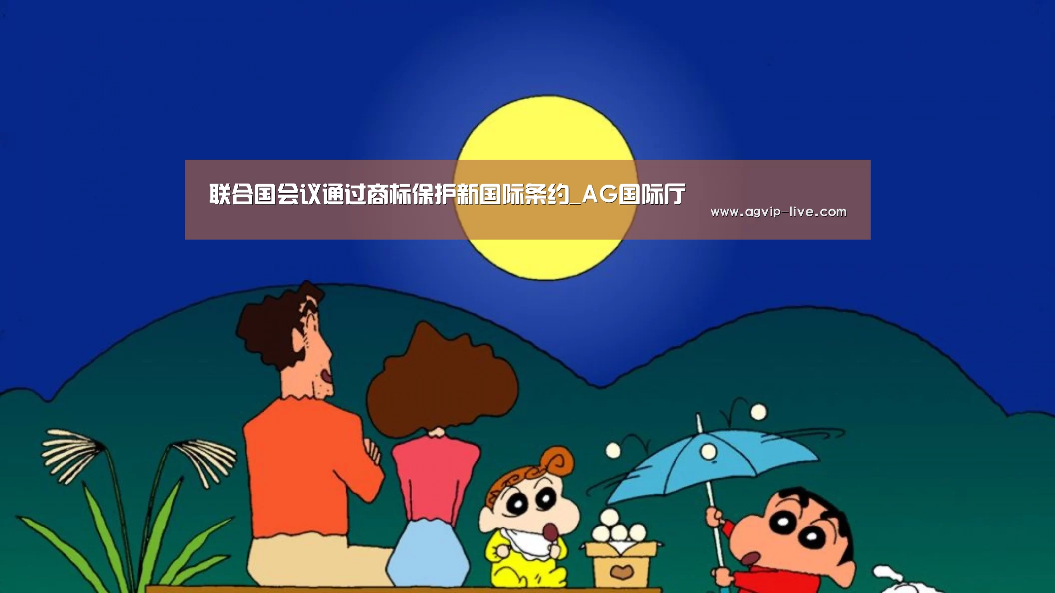 联合国会议通过商标保护新国际条约_AG国际厅(图4) AG直播