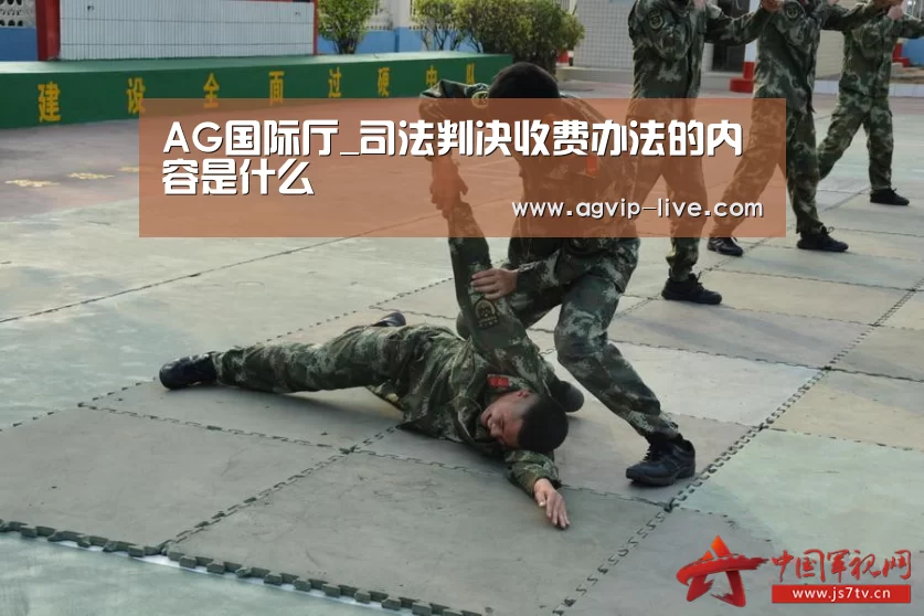 AG国际厅_司法判决收费办法的内容是什么(图3) AG娱乐