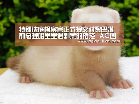 特别法庭检察官正式提交对黎巴嫩前总理哈里里遇刺案的指控-AG国际厅(图1) 特别法庭检察官正式提交对黎巴嫩前总理哈里里遇刺案的指控-AG国际厅(图1)