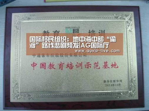 国际移民组织:地中海中部“偷渡”路线悲剧频发|AG国际厅(图2) 国际移民组织:地中海中部“偷渡”路线悲剧频发|AG国际厅(图2)